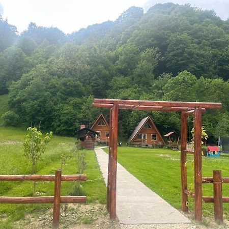 Cabanutze Satic Villa Rucăr Dış mekan fotoğraf