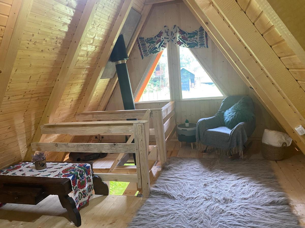 Cabanutze Satic Villa Rucăr Dış mekan fotoğraf
