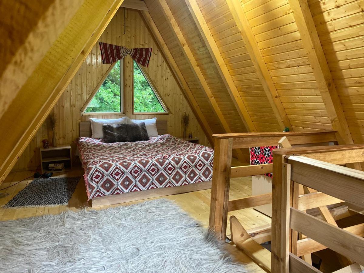 Cabanutze Satic Villa Rucăr Dış mekan fotoğraf