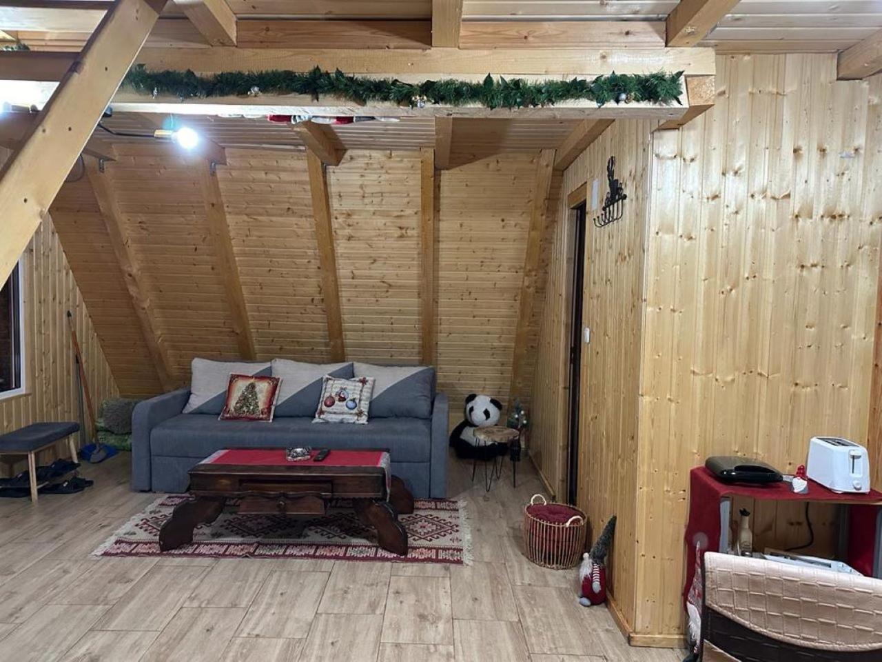 Cabanutze Satic Villa Rucăr Dış mekan fotoğraf