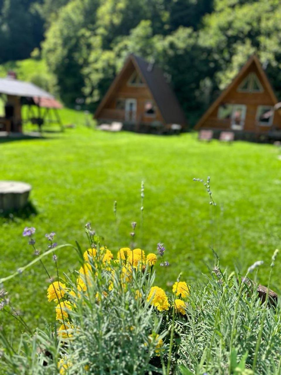 Cabanutze Satic Villa Rucăr Dış mekan fotoğraf