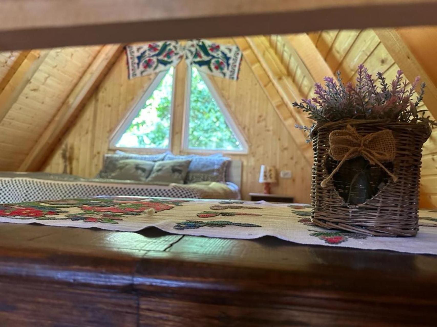 Cabanutze Satic Villa Rucăr Dış mekan fotoğraf