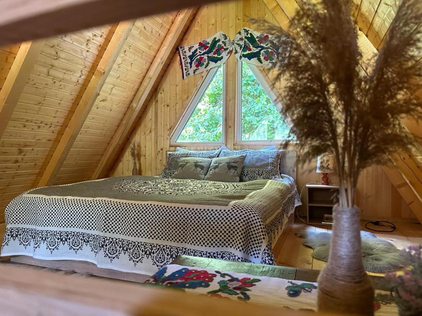 Cabanutze Satic Villa Rucăr Dış mekan fotoğraf