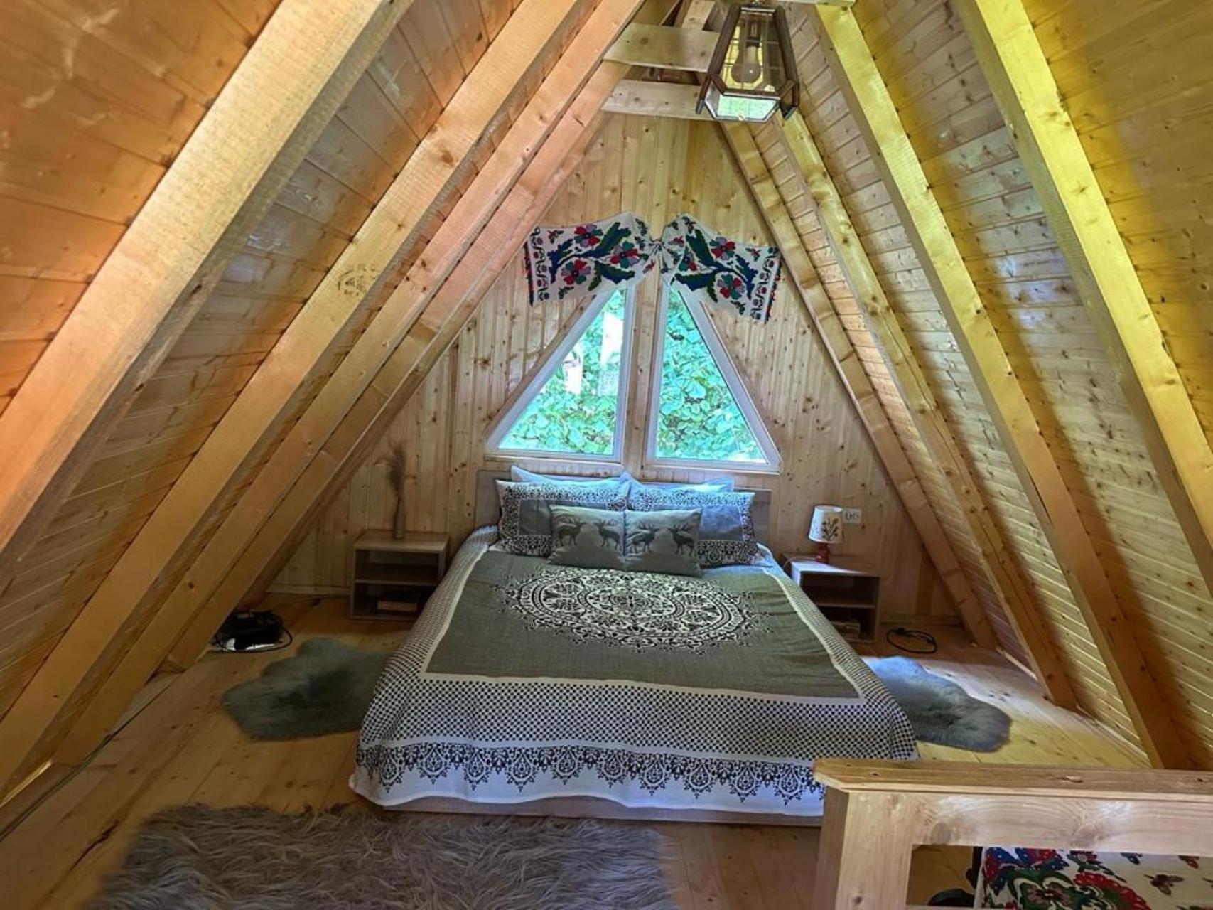 Cabanutze Satic Villa Rucăr Dış mekan fotoğraf