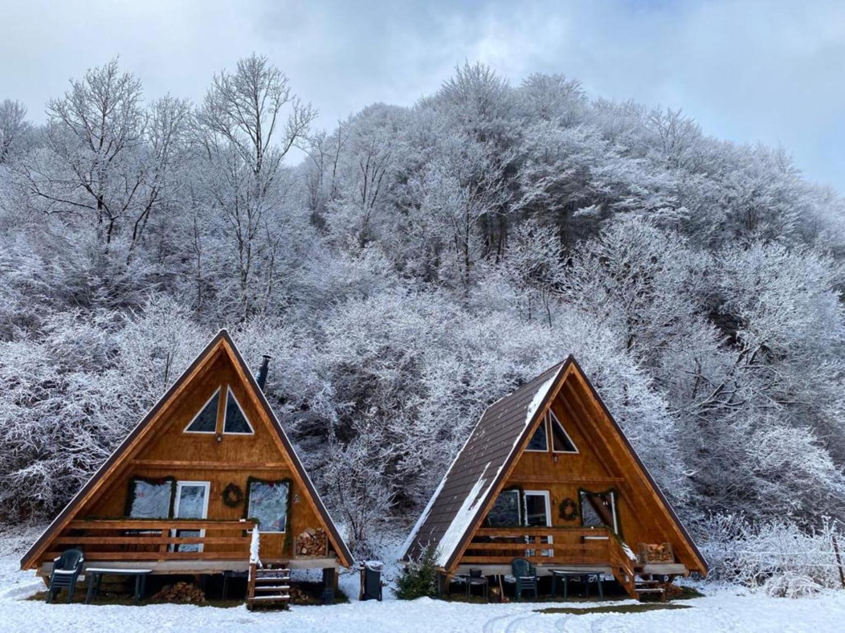 Cabanutze Satic Villa Rucăr Dış mekan fotoğraf