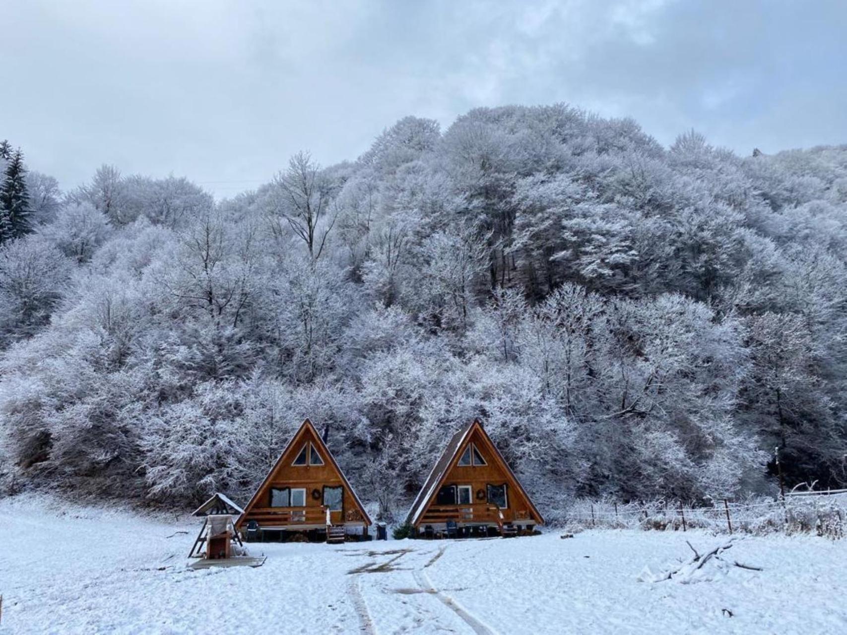 Cabanutze Satic Villa Rucăr Dış mekan fotoğraf