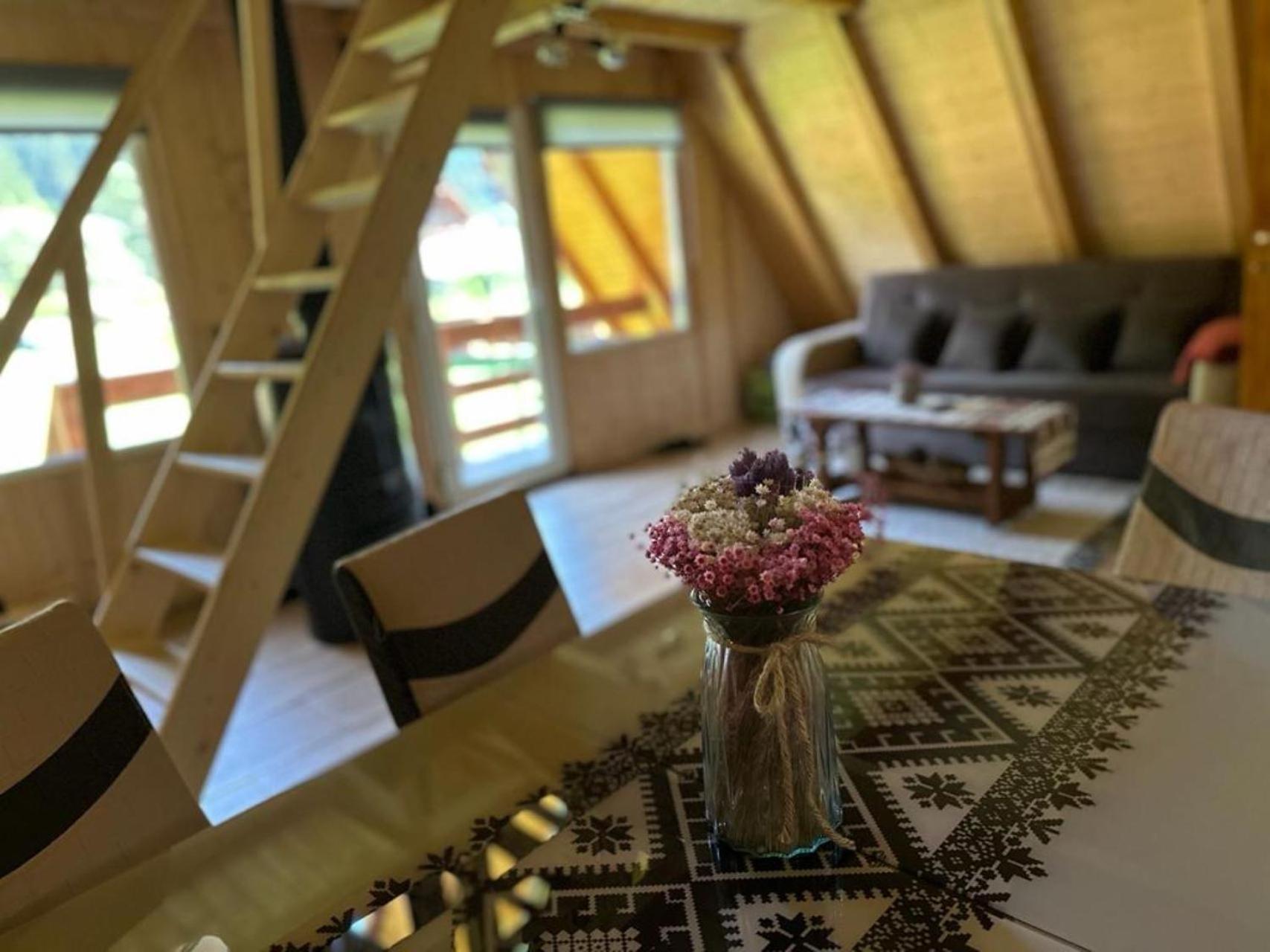 Cabanutze Satic Villa Rucăr Dış mekan fotoğraf