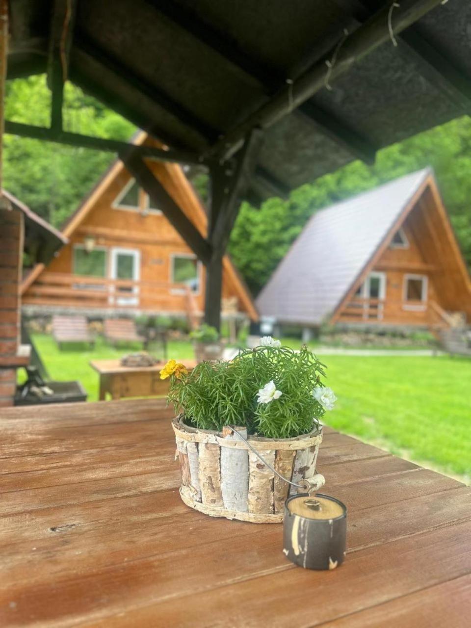 Cabanutze Satic Villa Rucăr Dış mekan fotoğraf