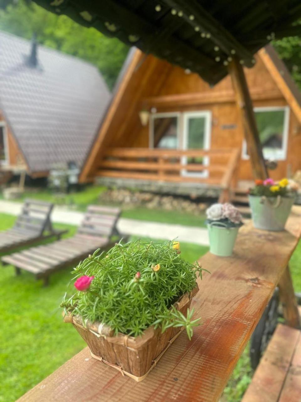 Cabanutze Satic Villa Rucăr Dış mekan fotoğraf