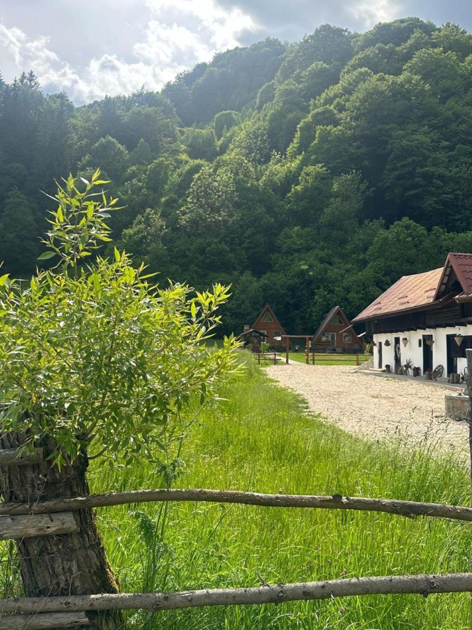 Cabanutze Satic Villa Rucăr Dış mekan fotoğraf