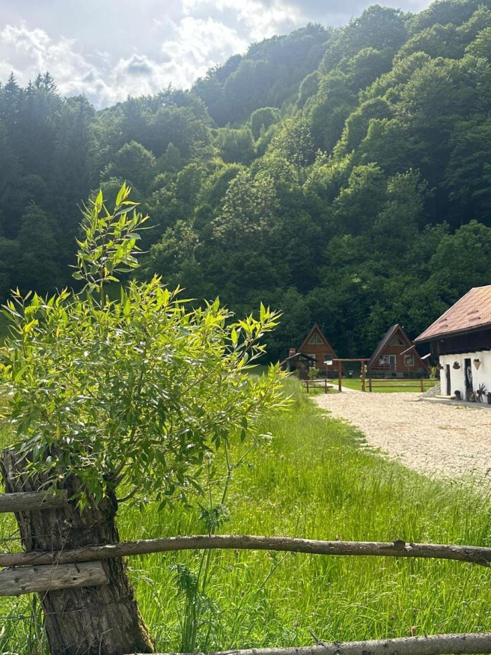 Cabanutze Satic Villa Rucăr Dış mekan fotoğraf