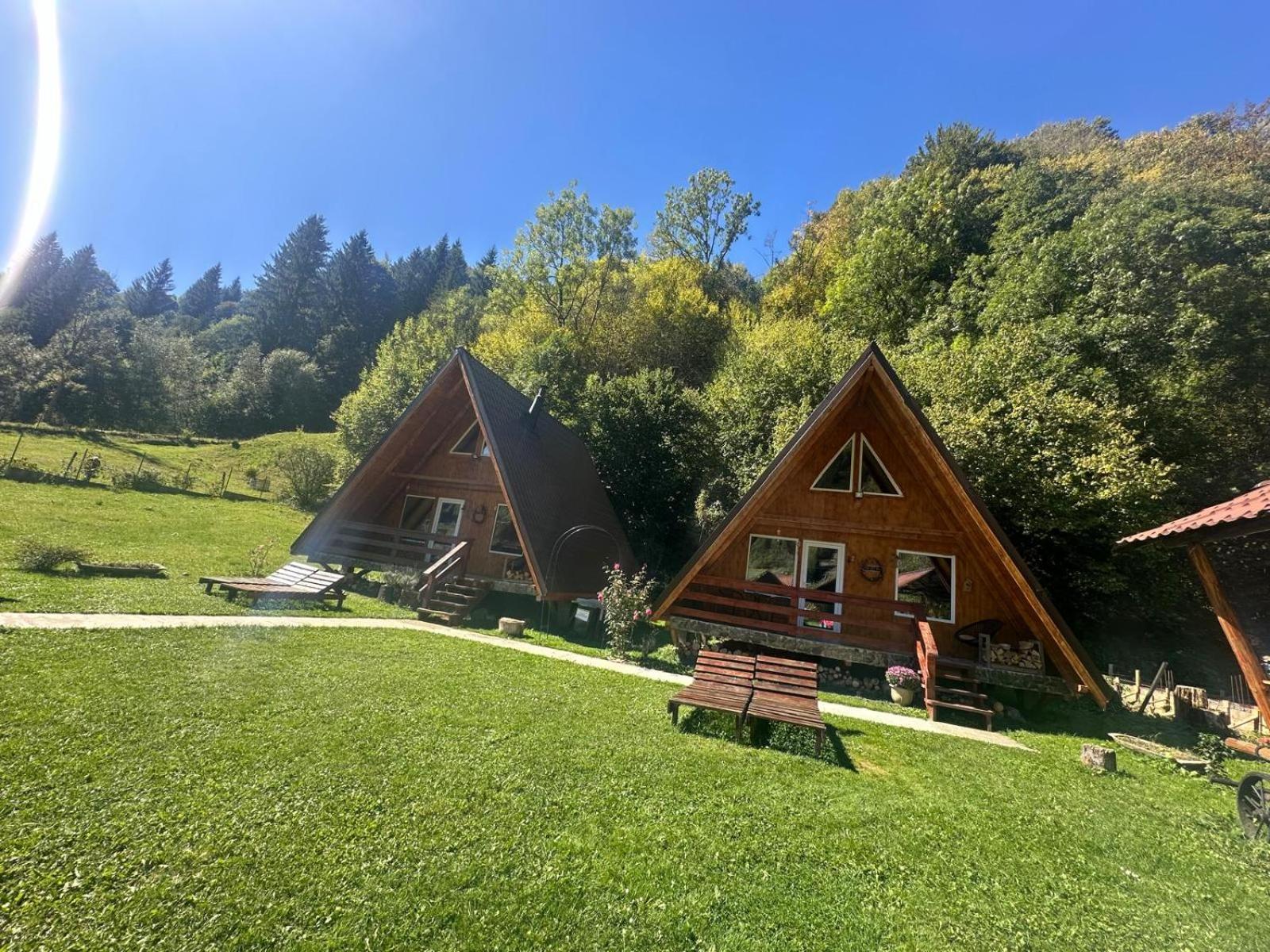Cabanutze Satic Villa Rucăr Dış mekan fotoğraf