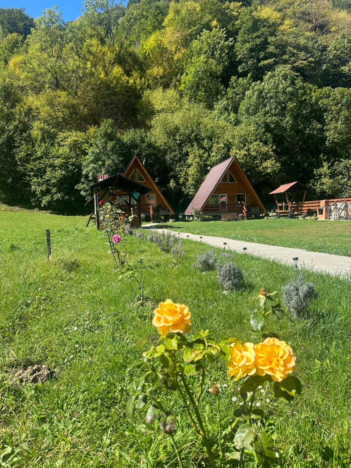 Cabanutze Satic Villa Rucăr Dış mekan fotoğraf